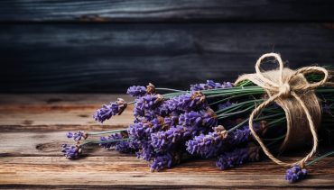 lavander event villa santa rosa